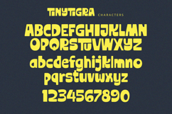 TinyTigra - Display Font Product Image 8