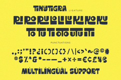 TinyTigra - Display Font Product Image 9