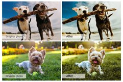 20 Lovely Pets Presets,Photoshop actions,LUTS,VSCO Product Image 2