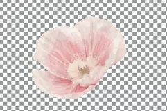 Watercolor bridal flowers on summer berry colors clip art Product Image 6