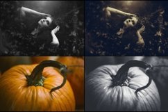 620 Halloween Time Lightroom Presets Product Image 2