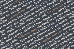 Monk - Display Font Product Image 4