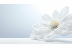 pure white light background Product Image 1