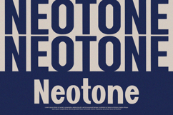 Flatline - Display Sans Product Image 2