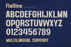Flatline - Display Sans Product Image 9