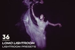 36 Lomo Lightroom Presets Product Image 1