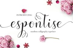 Web Font Espontise Script Product Image 1