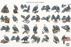 Patriotic American Eagle Clipart Product Image 4