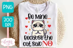 Funny Valentine sublimation, Anti Valentine's day PNG Product Image 2