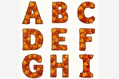 Fall Leaves Alphabet PNG Bundle, A-Z Autumn Leaf Letters Product Image 6