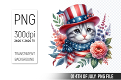 4th of July Cat Clipart, Animal illustration for crafts Product Image 1