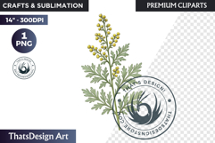 Flower Clipart PNG, Botanical Illustration Floral graphic Product Image 1