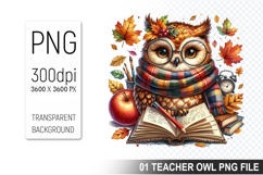 Teacher Owl Clipart PNG, Cute Owl, Digital Download File Product Image 1