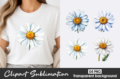 Daisy Bouquet Watercolor Clipart PNG Product Image 1