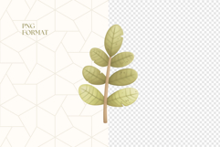 Jungle Leaves Clipart PNG Product Image 4