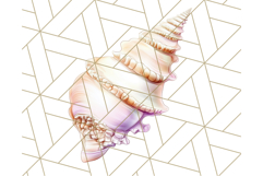 Natural Seashell Clipart PNG, Summer Nautical Beach Shell Product Image 5