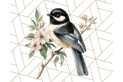 Vintage Song Bird Clipart PNG, Botanical Bird Art Clip Art Product Image 5