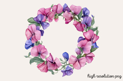 Sweet Pea Flower Watercolor Clipart PNG Product Image 1