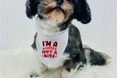I'm A Lover Not A Biter SVG, Dog Bandana SVG Design Product Image 3