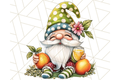 Summer Garden Gnomes Clipart PNG, Summer Country Gnomes Png Product Image 5