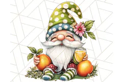 Summer Garden Gnomes Clipart PNG, Summer Country Gnomes Png Product Image 5