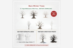 Bare Winter Trees PNG Clipart Bundle | Winter Tree Product Image 3
