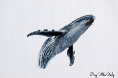 Whales Clipart design PNG Product Image 1