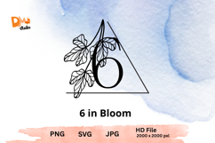 Elegant Emblem Monogram - Botanical Letter SVG | JPG | PNG Product Image 1