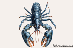 Gothic Under the Sea Clipart PNG Product Image 1