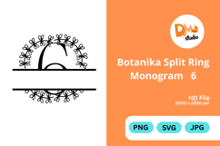 Botanika Split Ring Monogram Product Image 1