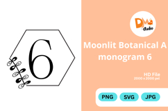Moonlit Botanical Monogram Product Image 1