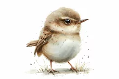 Cute Wren Bird Baby Watercolor Handmade illustration Product Image 3