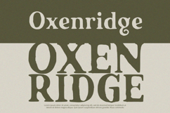 Stoneforge - Serif Font Product Image 5