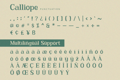 Calliope - Serif Font Product Image 9