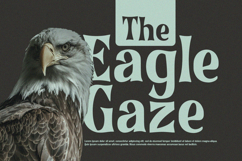 Bronze Stone - Serif Font Product Image 2