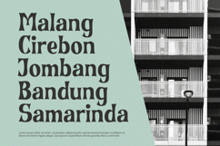 Bronze Stone - Serif Font Product Image 6