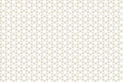 Ornamental seamless patterns. Product Image 2