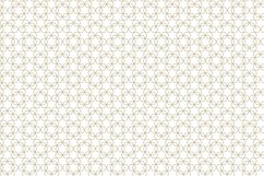 Ornamental seamless patterns. Product Image 2