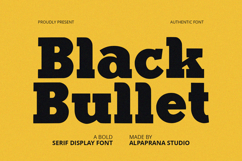 Black Bullet - Serif Font Product Image 1