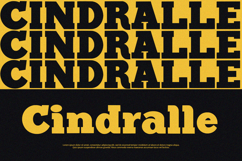 Black Bullet - Serif Font Product Image 5