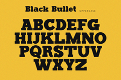 Black Bullet - Serif Font Product Image 8
