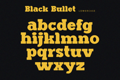 Black Bullet - Serif Font Product Image 9