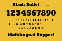 Black Bullet - Serif Font Product Image 10