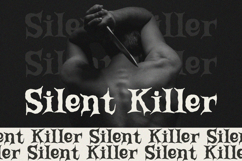 Broken Willow - Display Font Product Image 4