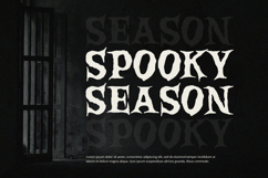 Broken Willow - Display Font Product Image 5
