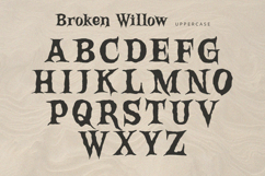 Broken Willow - Display Font Product Image 7