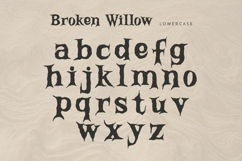 Broken Willow - Display Font Product Image 8