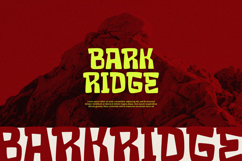 Crack Stone - Display Font Product Image 4