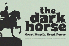 New Tone - Display Font Product Image 4