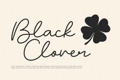 Blush - Script Font Product Image 7